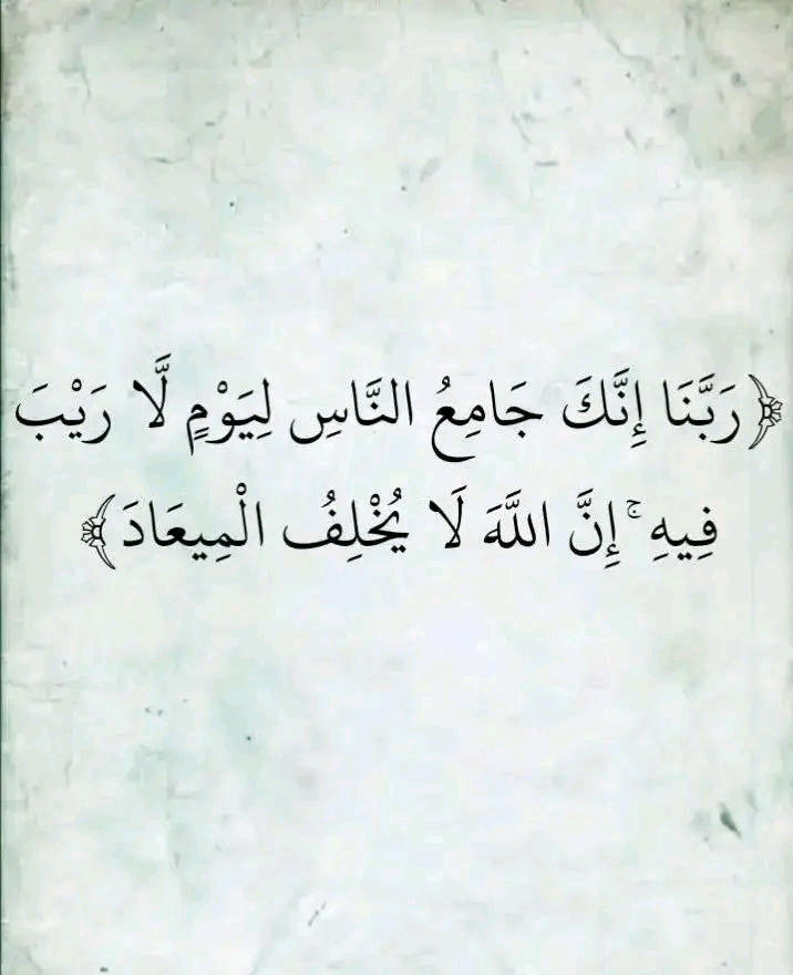 محمد ابوهشيم