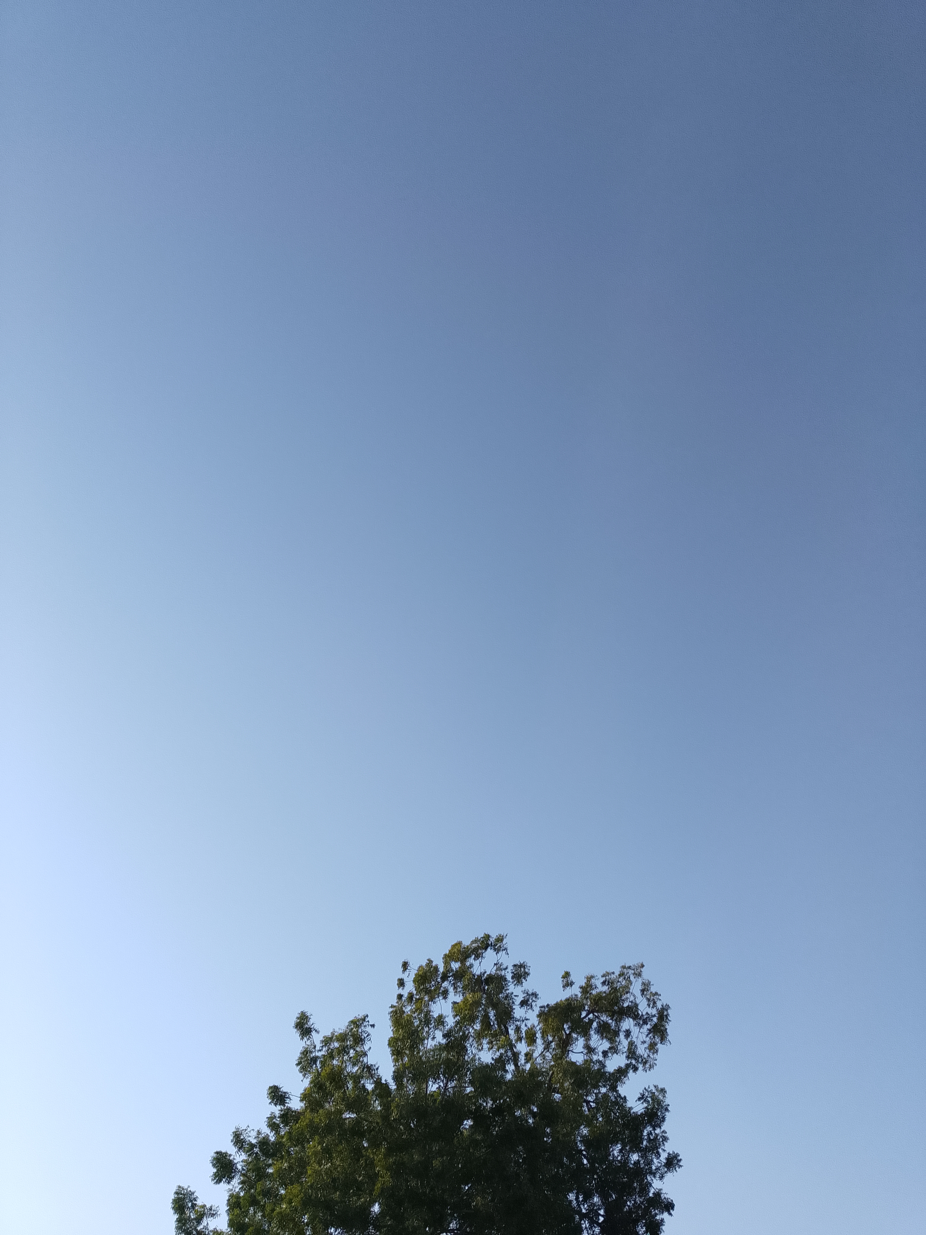 عبدالله شرف الدين