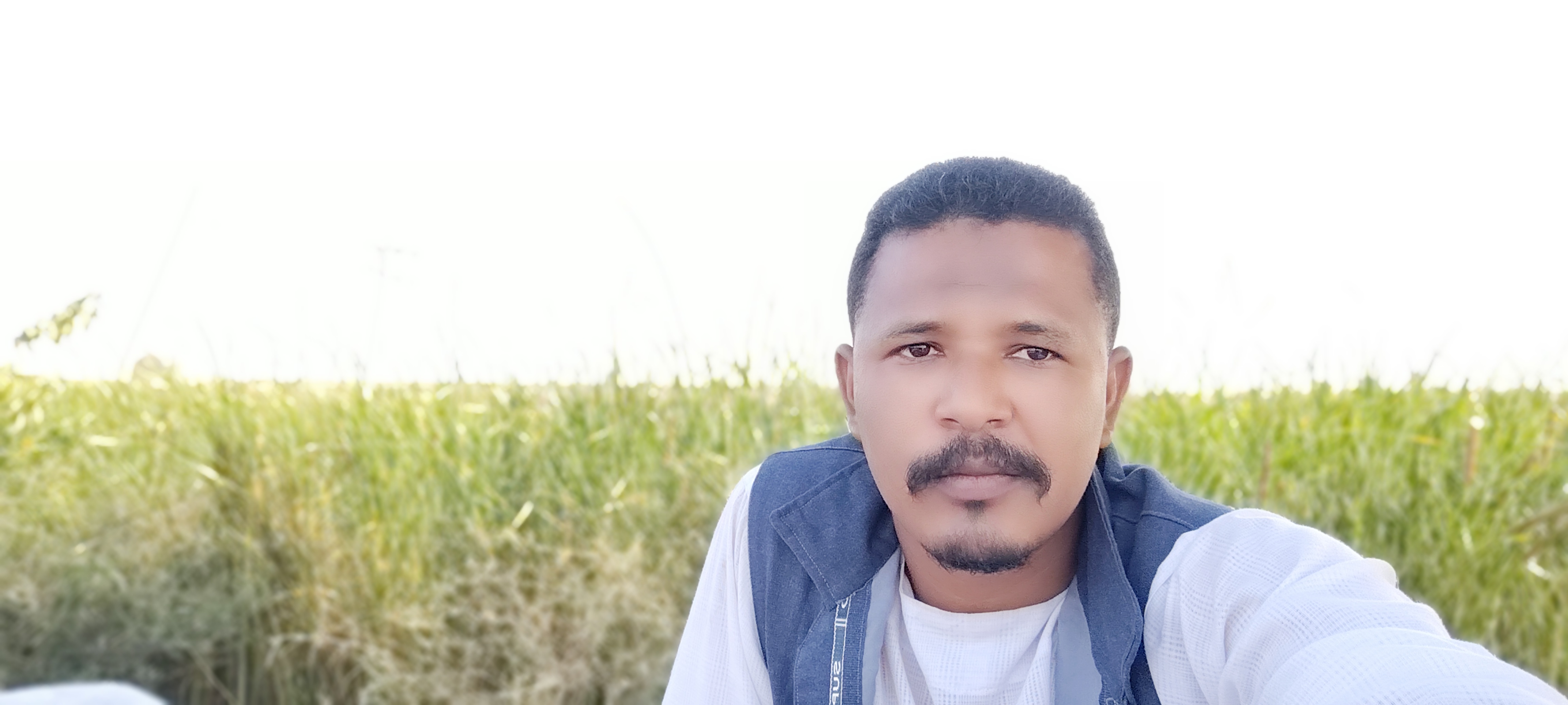 عمر حاج محمد دودو