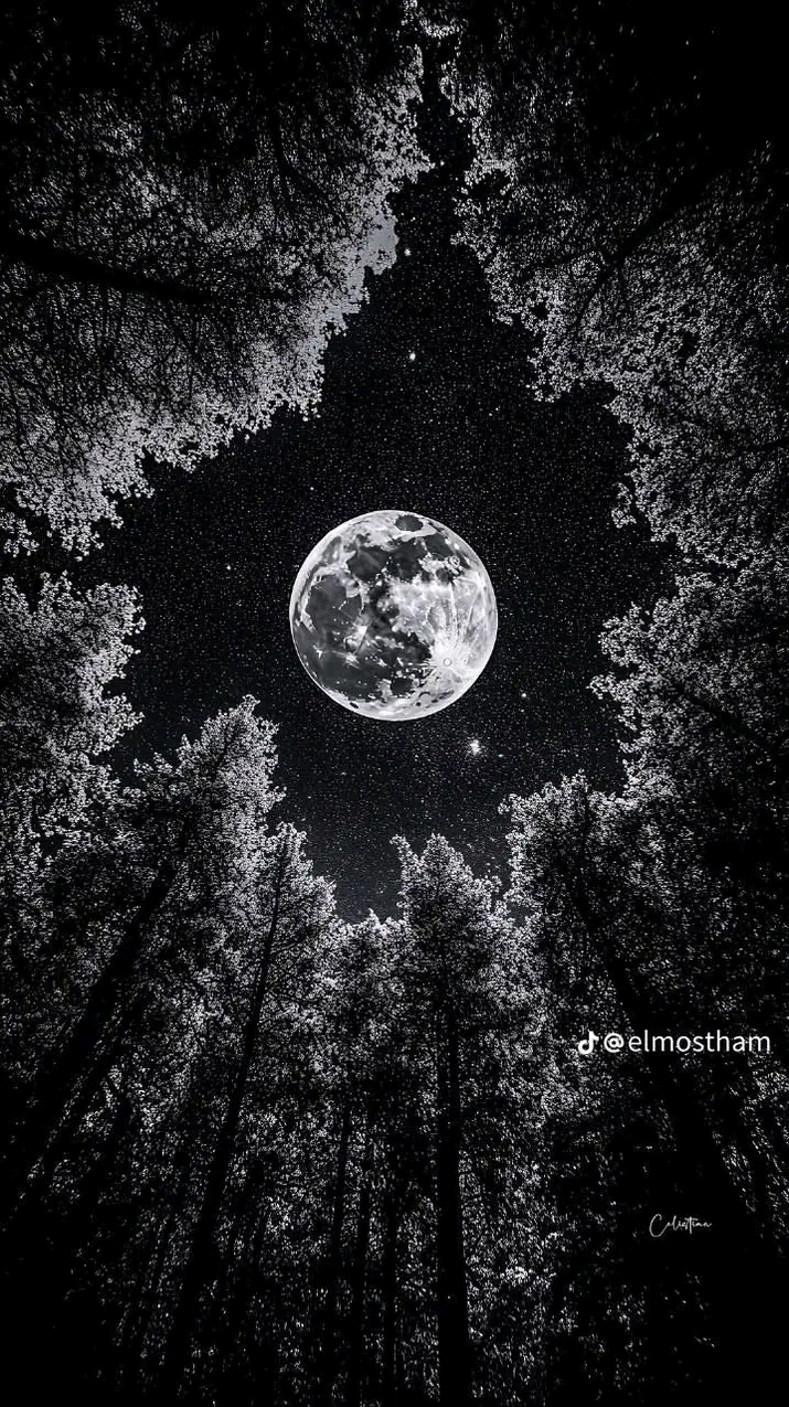 عبدو ودابكر