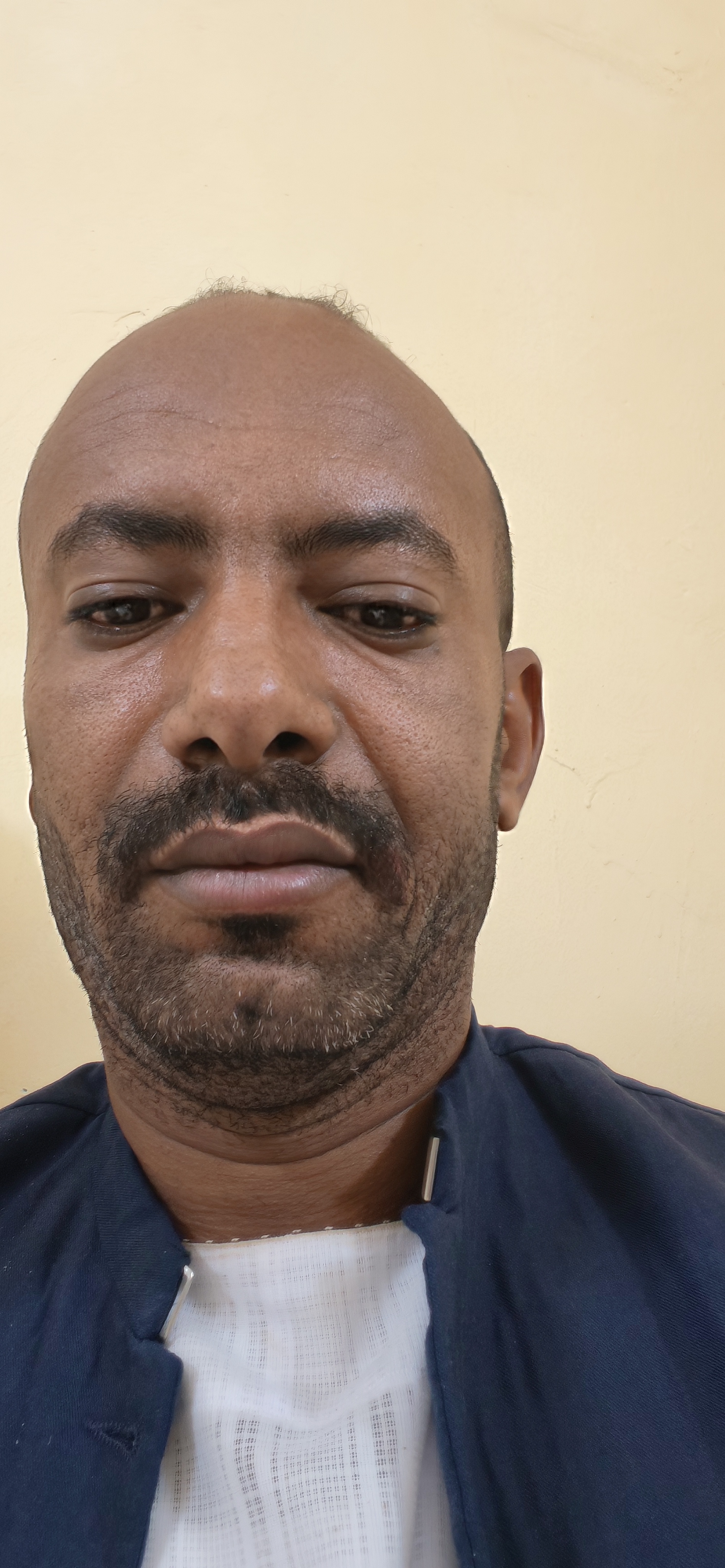 ابراهيم علي