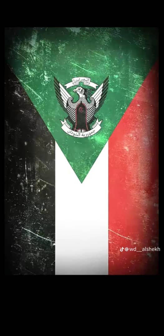 محمد التليب