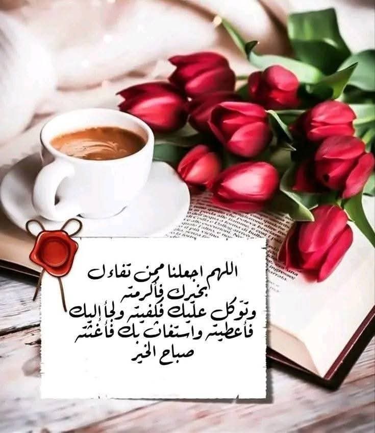 محمد الامام