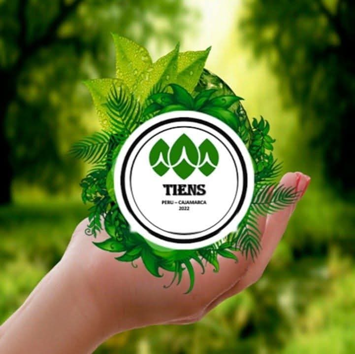 شركة تينز العالمية