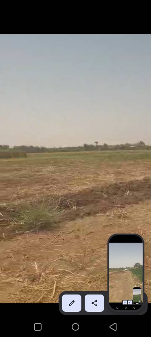 للبيع ارض زراعيه