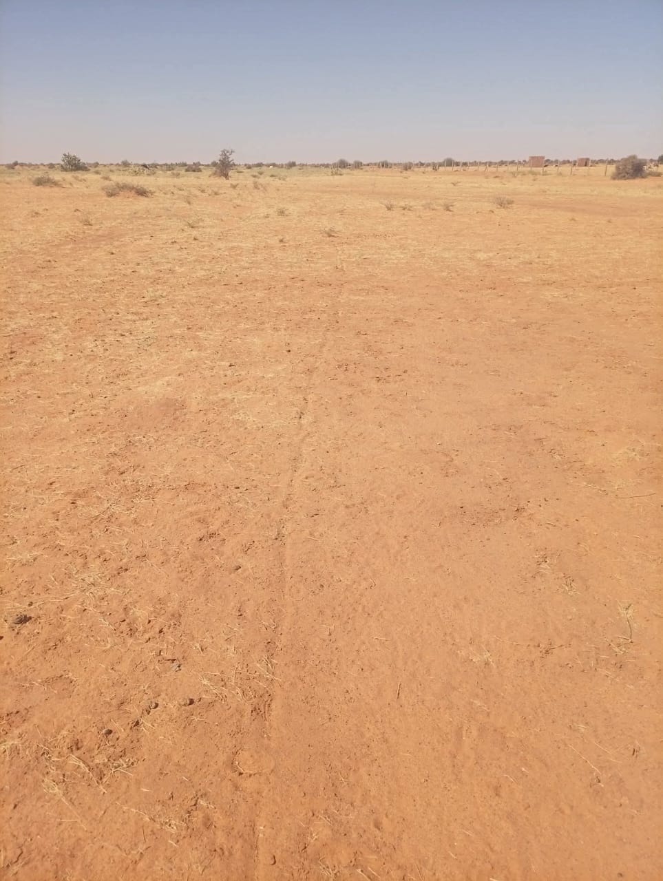 للبيع ارض زراعيه