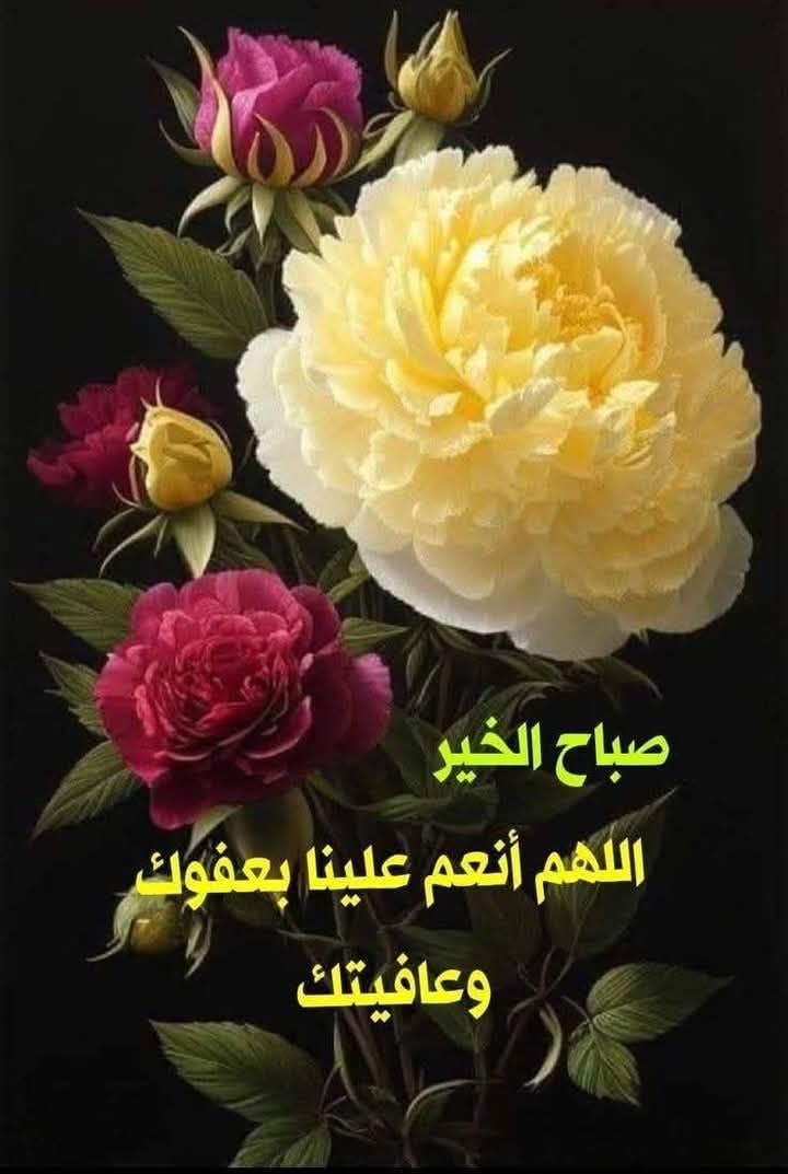 تسويق منتجات Dxn